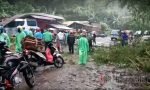 Pohon Tumbang Timpa Bangunan, Kabel Listrik, dan Halangi Lalu Lintas Rantepao-Makale