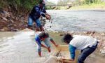 Komunitas Toraja Fishing Club Lepas 3.500 Bibit Ikan Nila di Sungai Sa’dan
