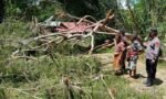 Pegawai Dinas Kehutanan Meninggal Ditimpa Pohon di Tondon Siba’ta