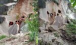 Tebing Batu Tempat Liang di Kurra Longsor, Peti Mati Bermunculan