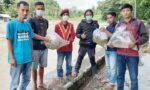 PMKRI Cabang Toraja, Komunitas Stupid Traveler dan Dinas Ketahanan Pangan Tana Toraja Salurkan Ribuan Bibit Ikan Mas