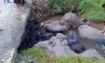 Terjatuh Bersama Sepeda Motor ke Sungai, Pemuda Ini Meninggal Dunia