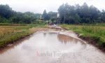 FOTO: 26 Tahun Tak Diperbaiki, Warga Batualu Selatan Tanam Pohon Pisang di Jalan