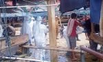 7 Kerbau Alami Gejala PMK, Dinas Pertanian dan Peternakan Isolasi Pasar Hewan Bolu