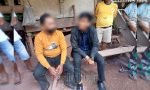 Terduga Pencuri Dengan Modus Petugas PLN Ditangkap di Gandangbatu Sillanan