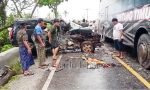 Bawa 5 Warga Toraja dari Morowali, Minibus Innova Kecelakaan di Luwu Timur