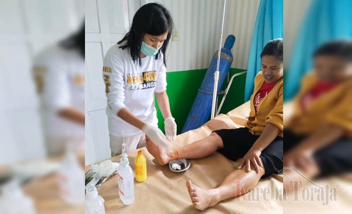 Petugas Pemutakhiran Data Pemilih di Tana Toraja Digigit Anjing Saat Bertugas
