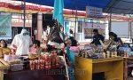 14-18 Maret, Ada Pameran UMKM di Tongkonan Sangulele Rantepao, Berkunjung Yuk!
