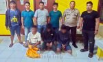 Diduga Curi 3 Ekor Ayam Jantan, Lima Pemuda Belasan Tahun Ditangkap Polisi