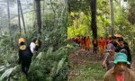 Sepekan Menghilang, Tim SAR dan KPA ART Cari Ambe’ Lopo’ di Hutan Sarapeang