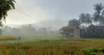 “Dinginnya Toraja” Trending Topik di Media Sosial, Begini Penjelasan BMKG