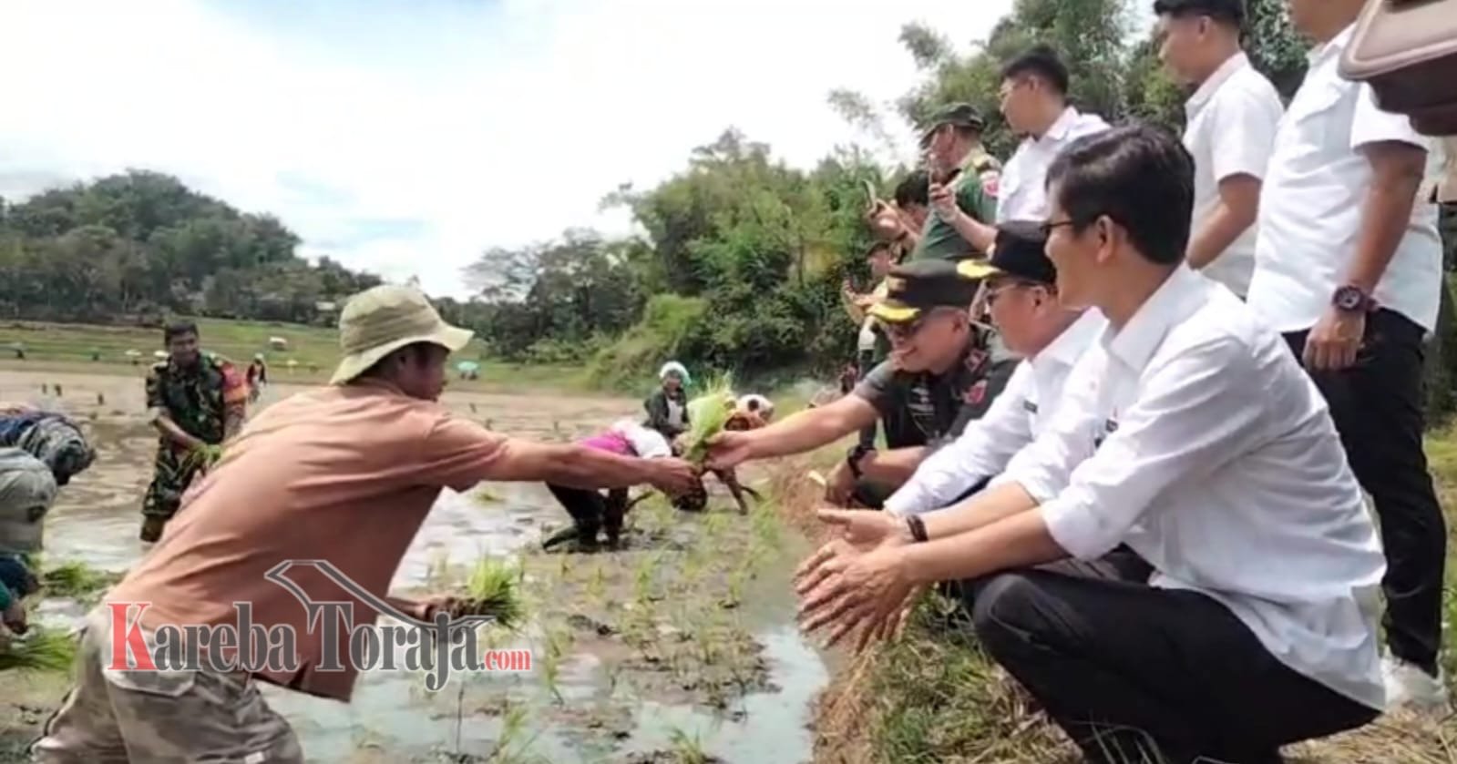 Dukung Program Nasional Percepatan Swasembada Pangan, Pemda Tana Toraja Ikut Tanam Padi Serentak