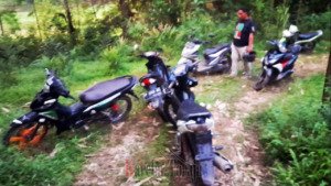 Gerebek Arena Sabung Ayam, Polsek Sanggalangi’ Amankan 6 Sepeda Motor