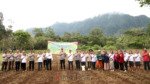 Polres Tana Toraja Gelar Penanaman Jagung Serentak Kuartal III