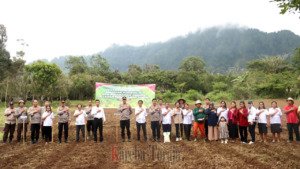 Polres Tana Toraja Gelar Penanaman Jagung Serentak Kuartal III