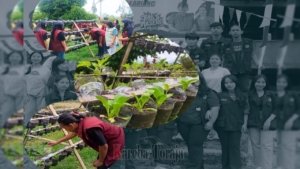 Mahasiswa KKN-T UKI Toraja di Kelurahan Ariang Perkenalkan Bongkol Pisang sebagai Bahan Utama Pembuatan Pupuk Organik Cair (POC)