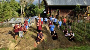 Mahasiswa KKN UKI Toraja Perkenalkan Tanaman Sorgum sebagai Alternatif Pangan dan Pakan Ternak di Kelurahan Padangiring