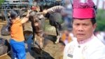 Sekda Toraja Utara Perintahkan Bapenda dan Distan Buat Klinik Kesehatan Hewan Keliling