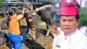 Sekda Toraja Utara Perintahkan Bapenda dan Distan Buat Klinik Kesehatan Hewan Keliling