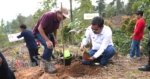 Pemda Tana Toraja Kembangkan Kopi Lokal Varietas Unggul, Buntu Santung dan Langda Perindingan