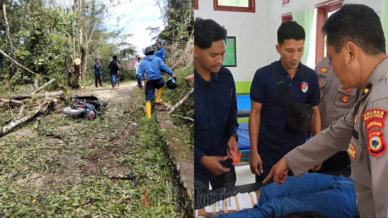 Pengemudi Sepeda Motor Tewas Tertimpa Pohon yang Ditebang Warga di Nanggala, Toraja Utara