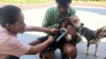 Bupati Minta Pasokan Vaksin Rabies untuk Toraja Utara Diperbanyak