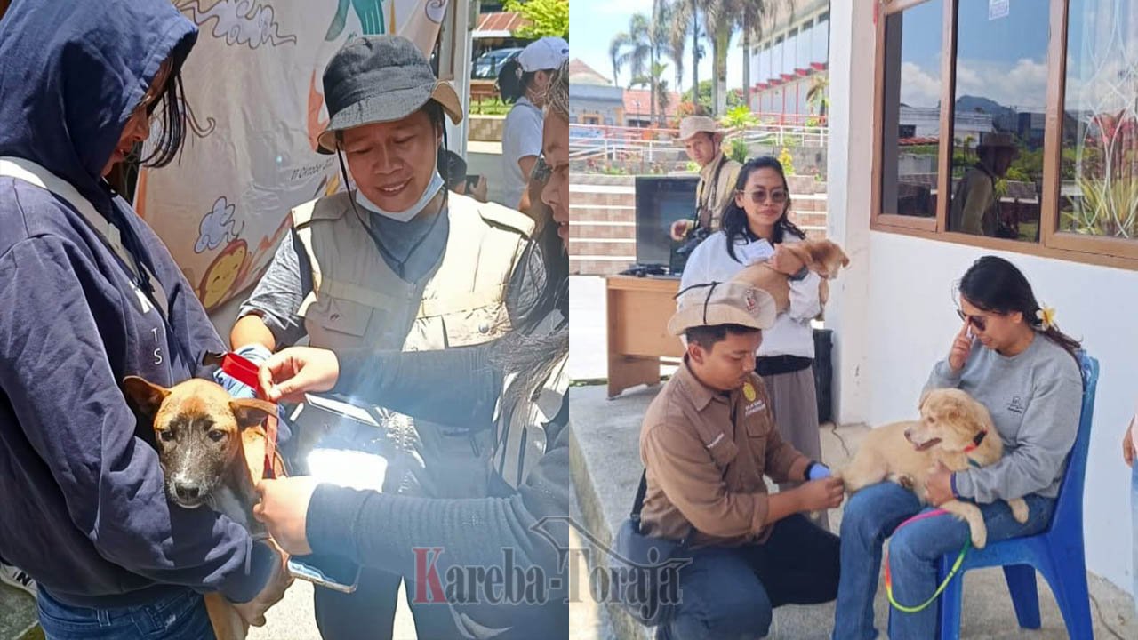Bupati Minta Pasokan Vaksin Rabies untuk Toraja Utara Diperbanyak