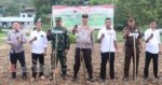 Dukung Ketahanan Pangan Nasional, Polres Tana Toraja Gelar Tanam Jagung Serentak