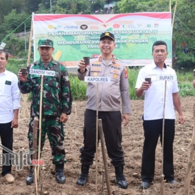Dukung Ketahanan Pangan Nasional, Polres Tana Toraja Gelar Tanam Jagung Serentak