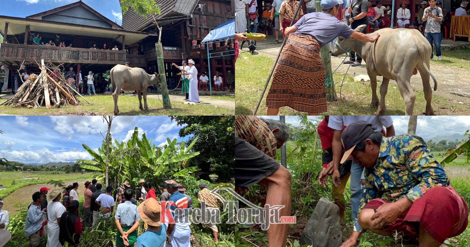 Rusak Situs Adat, Seorang Warga di Rante La’bi Kambisa Sangalla’ Disanksi Potong 1 Ayam, 1 Babi dan 1 Kerbau