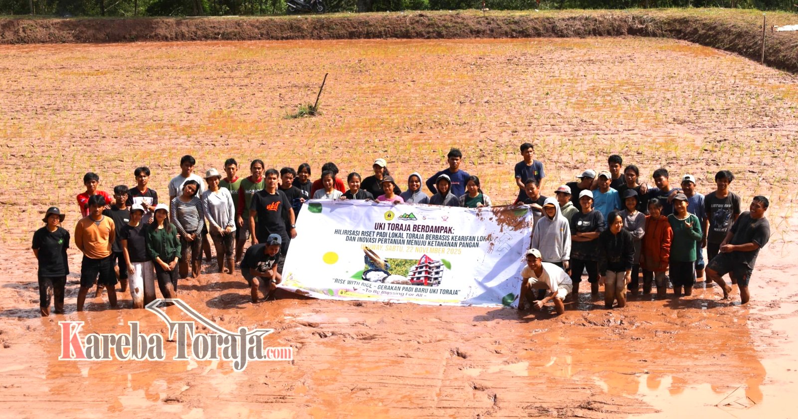 UKI Toraja Kembangkan Padi Varietas Baru, Keunggulan Panen Cepat, Tahan Iklim Dingin dan Produksi Tinggi