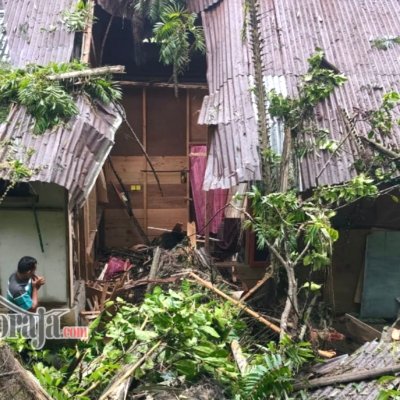 1 Rumah Rusak dan 3 Orang Luka Tertimpa Pohon Tumbang di Lapandan Makale