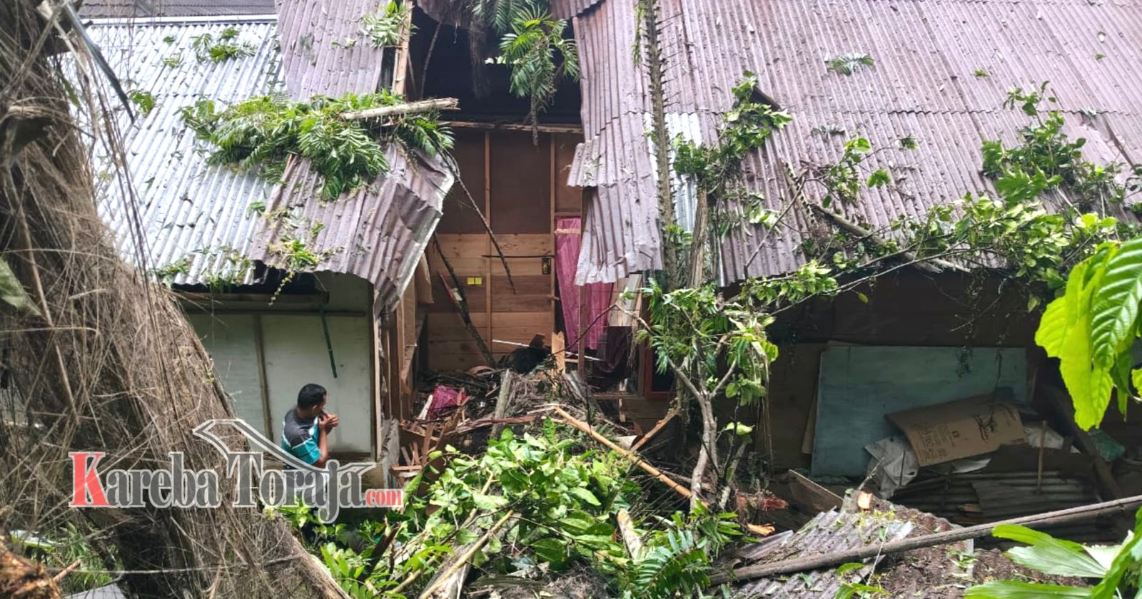 1 Rumah Rusak dan 3 Orang Luka Tertimpa Pohon Tumbang di Lapandan Makale