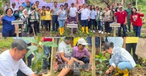 Pemda Tana Toraja Tanam 150 Ribu Bibit Kopi Arabika