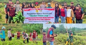 Mahasiswa KKNT UKI Toraja dan Pemerintah Lembang Tondon Langi’ Tanam 200 Pohon Mahoni dan Jati Putih