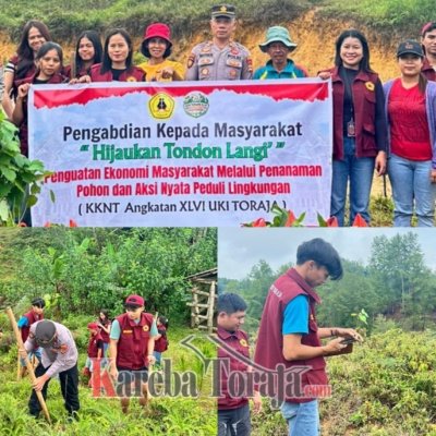 Mahasiswa KKNT UKI Toraja dan Pemerintah Lembang Tondon Langi’ Tanam 200 Pohon Mahoni dan Jati Putih