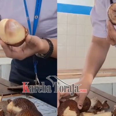 Viral di Medsos, SPPG Pantan Makale Sajikan Buah Busuk dalam Menu MBG