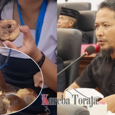 Legislator Randan Sampetoding Minta BGN Evaluasi SPPG Pantan Makale Buntut Buah Busuk dalam Menu MBG