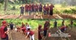 Mahasiswa KKNT Angkatan 46 UKI Toraja Revitalisasi Kebun Percontohan Hortikultura di Lembang Langda