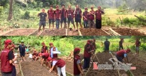 Mahasiswa KKNT Angkatan 46 UKI Toraja Revitalisasi Kebun Percontohan Hortikultura di Lembang Langda