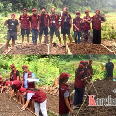 Mahasiswa KKNT Angkatan 46 UKI Toraja Revitalisasi Kebun Percontohan Hortikultura di Lembang Langda