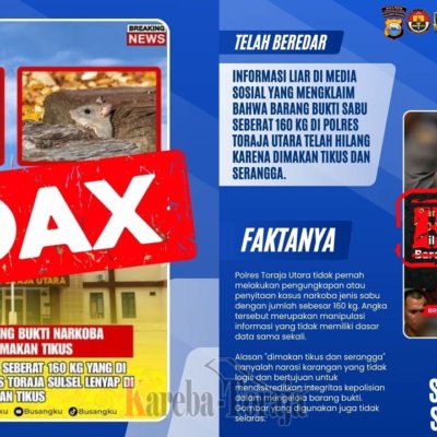 Polres Toraja Utara Tegaskan Isu Narkoba 160 Kg Hilang Dimakan Tikus Adalah Hoaks