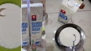 Siswa di Toraja Utara Terima Susu Tak Layak Konsumsi, SPPG Limbong Toraja Utara Akui Ada Kesalahan Distribusi