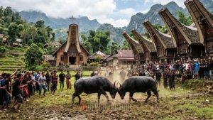 Toraja di Persimpangan; Ketika Adat, Moral, dan Realitas Sosial Saling Bertabrakan