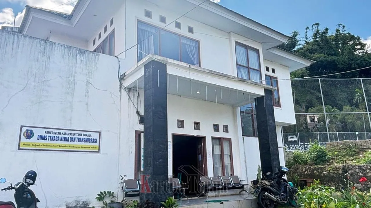 Januari-April 2026, Jumlah Pencari Kerja di Tana Toraja 1.069 Orang