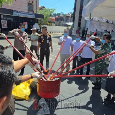Sudah Inkrah, Ribuan Gram Ganja dan Sabu-sabu Dimusnahkan Kejari Tana Toraja