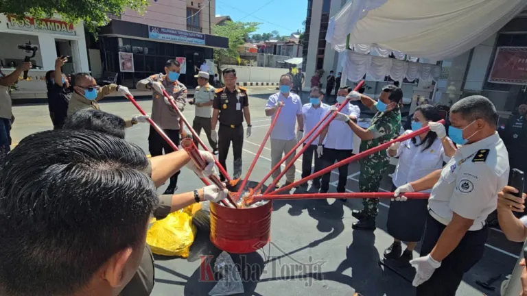 Sudah Inkrah, Ribuan Gram Ganja dan Sabu-sabu Dimusnahkan Kejari Tana Toraja