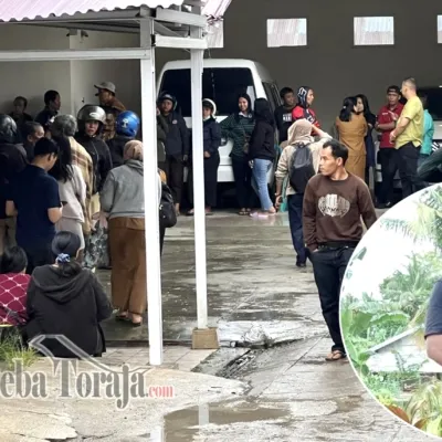 Pengendara Motor Meninggal Dunia Tertimpa Pohon Tumbang di Plaza Kolam Makale