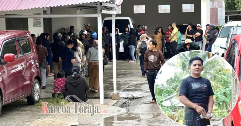Pengendara Motor Meninggal Dunia Tertimpa Pohon Tumbang di Plaza Kolam Makale