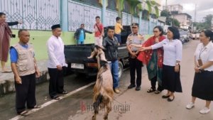 Bupati Toraja Utara Sumbang Hewan Kurban untuk Jemaah 2 Masjid di Rantepao